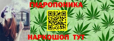 jwh Туймазы