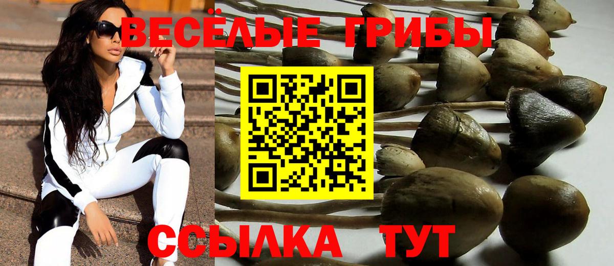 Нижний Новгород  Псилоцибиновые грибы MAGIC MUSHROOMS  Вход с VPN 